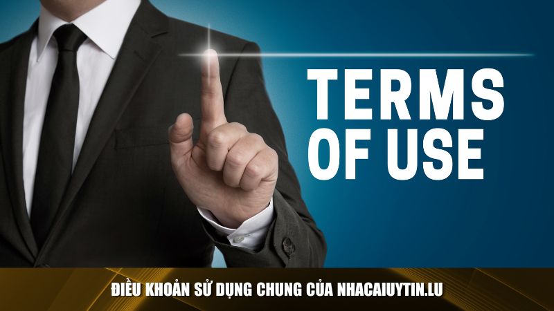 Điều khoản sử dụng chung của Nhacaiuytin.lu