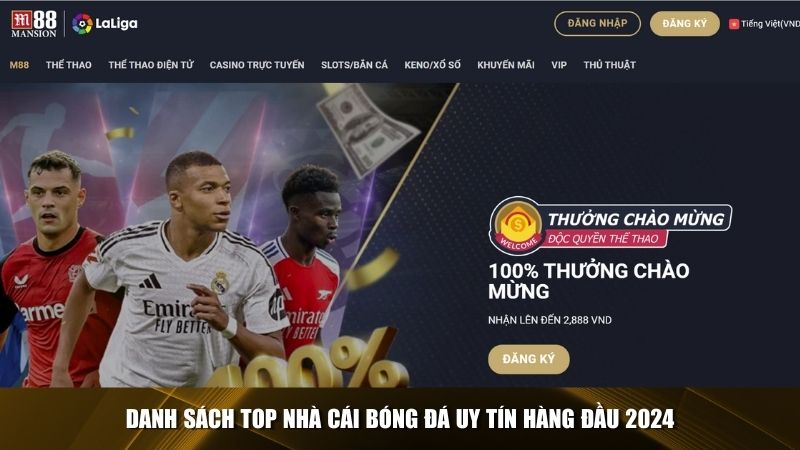 M88 – Nhà cái bóng đá uy tín tỷ lệ cược cao