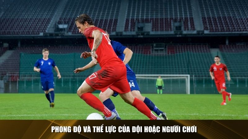 Phong độ và thể lực của đội hoặc người chơi